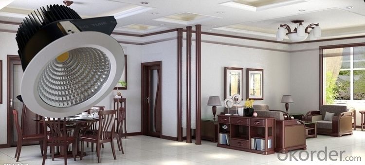 IP54 LED Mini Downlight 5w 7w 10w for Sitting Room and Kitchen Lighting