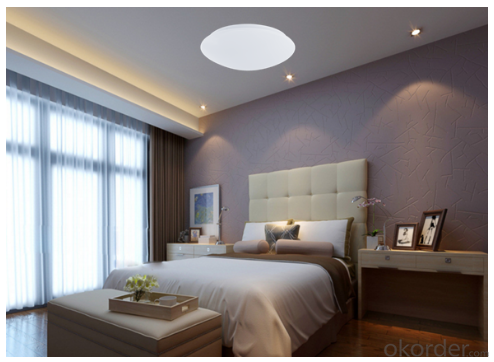 LED Ceiling Light 9W Oyster Round Classic design 250mm