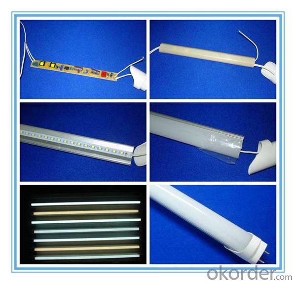 TUV CE Listed T8 24W Frosted LED Tube with 5 Years Warranty