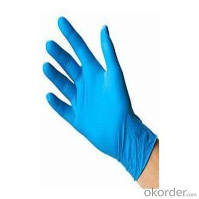 Blue Vinyl Gloves Hand Plus in Low Powder
