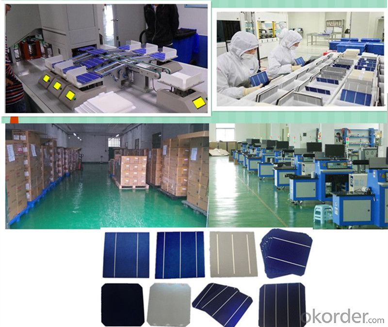 Mono Solar Cells156mm*156mm in Bulk Quantity Low Price Stock 19.2