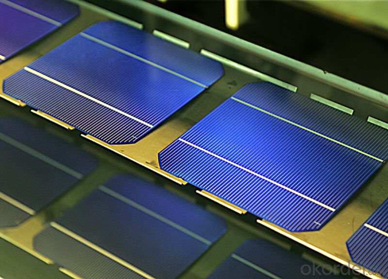 Mono Solar Cells156mm*156mm in Bulk Quantity Low Price Stock 18.2