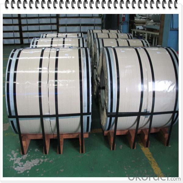 ASTM 304 310S Hot Rolled Stainless Steel Coil / Belt / Strip Products Made in China