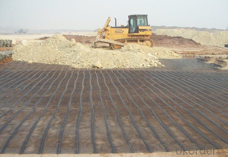 PVC Coated Polyester/PP/Fiberglass Geogrid with High Strength