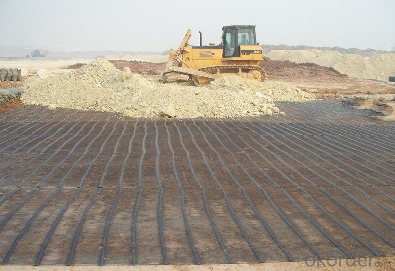 PVC Coated Polyester Geogrid with High Strength