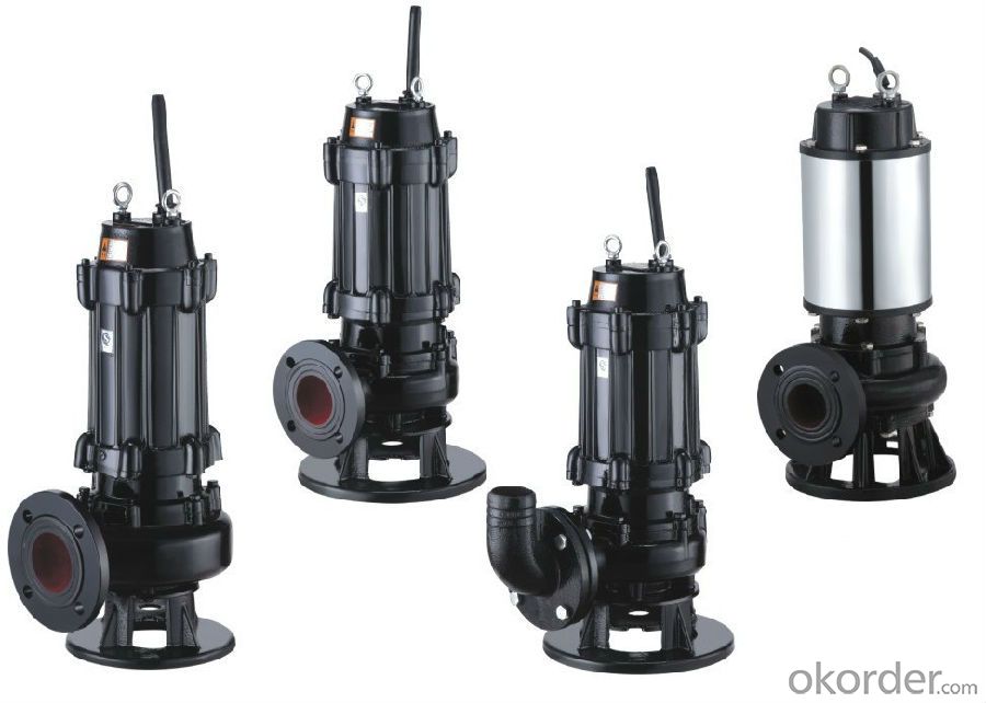 WQ Series Pond Sewage Pump with Competitive Price