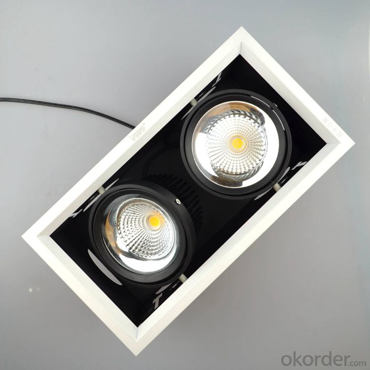 Indoor lighting AR111 LED Grille Spotlight Double-headed 2*20W