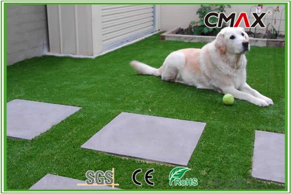 Pet Grass Best Artificial Grass for Dogs