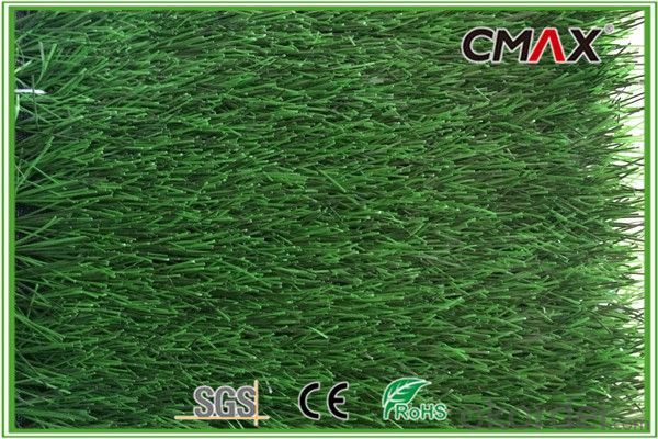 Pet Grass Green color with UV Resistance 25mm Height with comfortable touch