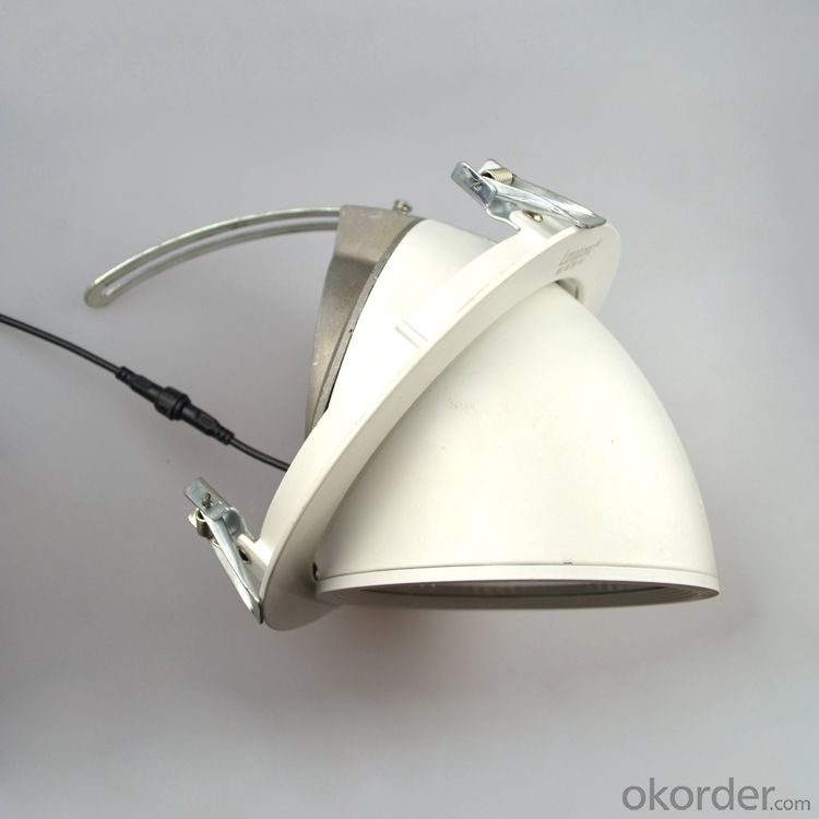40W LED Trunk lamp,Led COB adjustable angle Downlight
