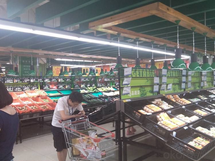Led COB Pendant  Fresh Light use Supermarket for fresh area lighting