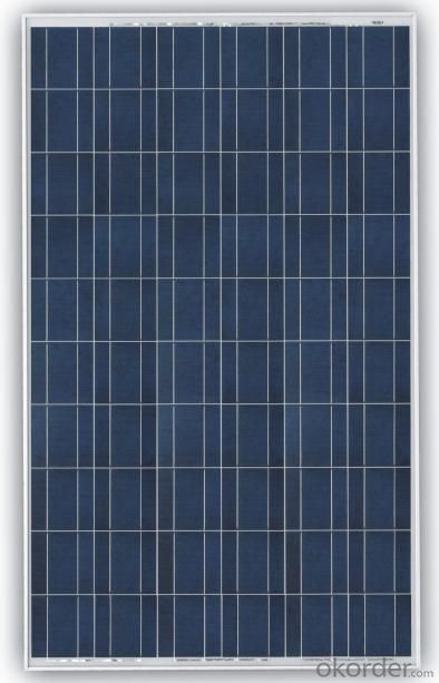 TPB156×156-60-P 260Wp Poly Silicon Solar Module