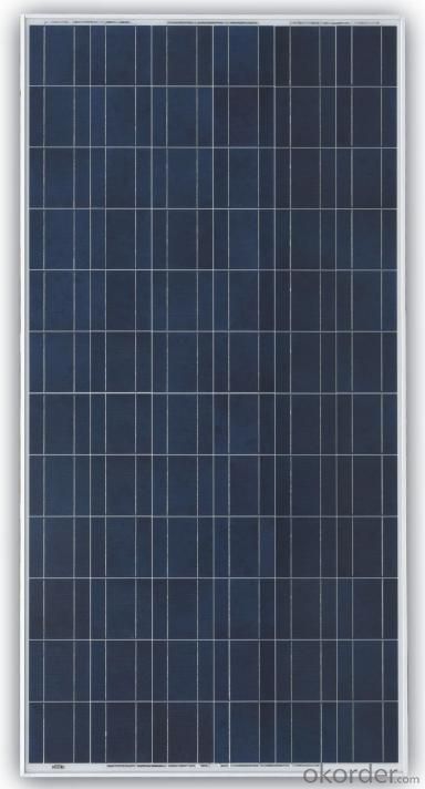 TPB156×156-72-P 305Wp Poly Silicon Solar Module
