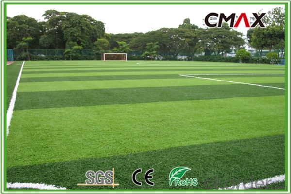 Professional Football venues with 50mm Artificial Grass