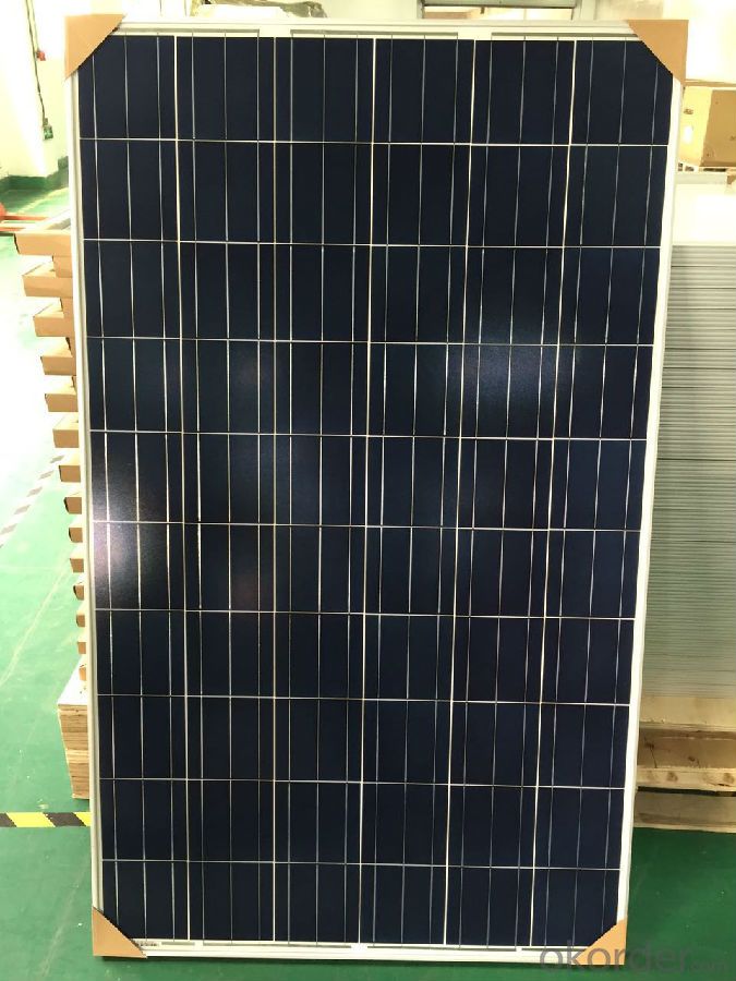 Poly Solar Panel 100W with Top Quality and Good Price