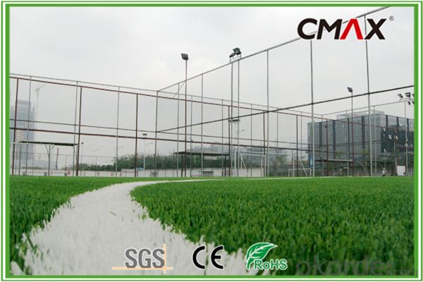 Football Field 50mm Height Straight/Curly Yarn Artificial Grass