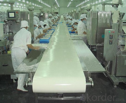White Cleat Food Grade Industry PVC/PU Conveyor Belt