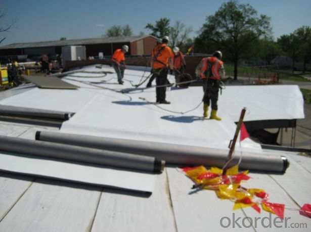 SBS Bitumen Waterproof Membrane And Roll Building Roof Asphalt Material With Hot Sales