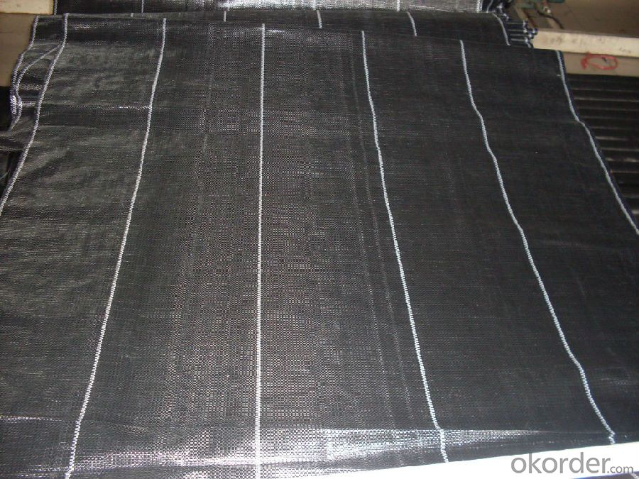 PP Woven Fabric/ Groundcover for Agriculture