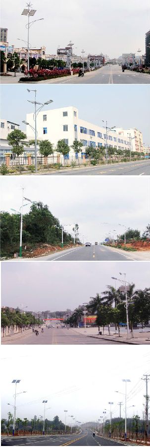 Wind and solar hybrid street lamp system High quality complementary led solar street lights