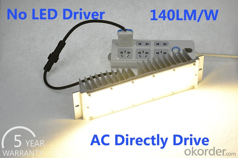 LED Street light  high Luminous Efficiency no driver AC Directly drive