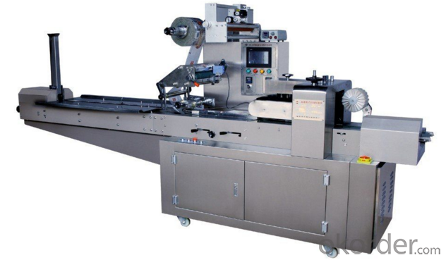 Wrapping Package Type Packing Machine for Packaging Industry
