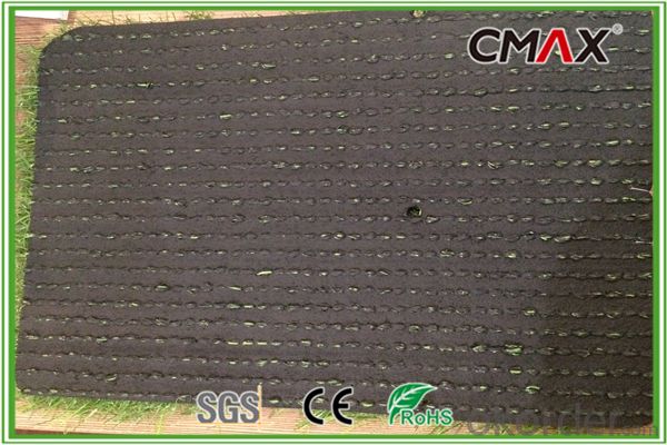 Thick Artificial Grass with W Shape-CGL0046SY