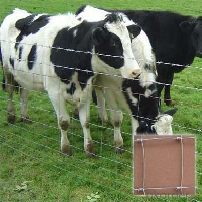 Cattle Farm Fence/Field Fence/Grassland Fence