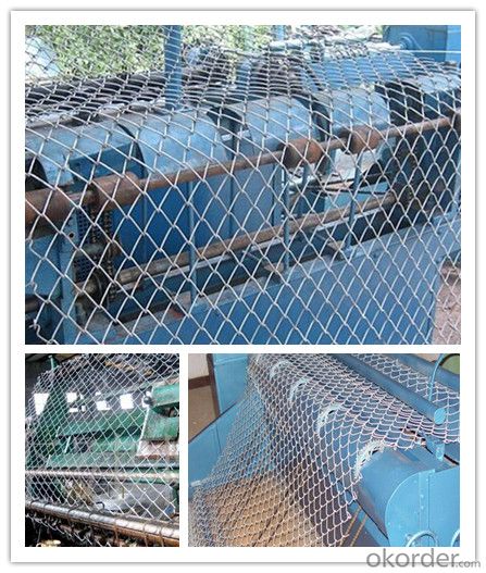PVC Coated Security Wire Mesh Chain Link Fence in High Quality