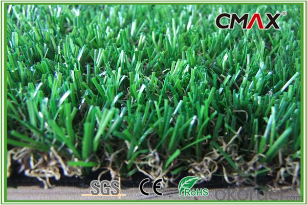 Thick Artificial Grass with W Shape-CGL0046SY