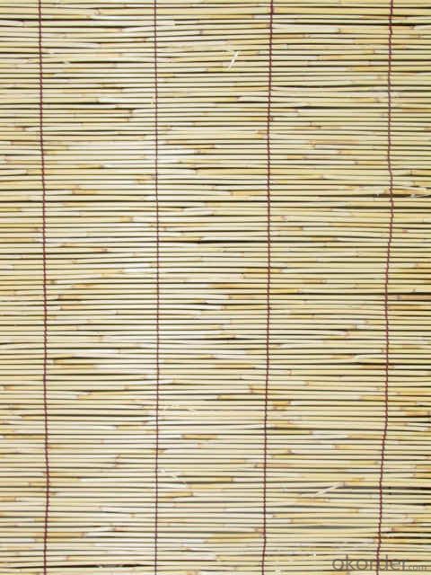 Natural Light Reed Cane Fence Panel Screening