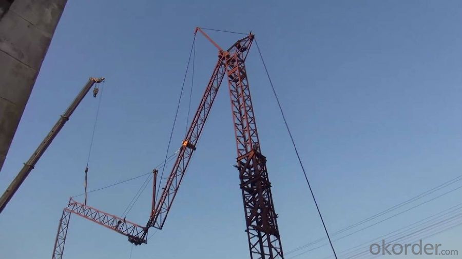 Fast Erection Tower Cranes Construction Tower Crane High Quality