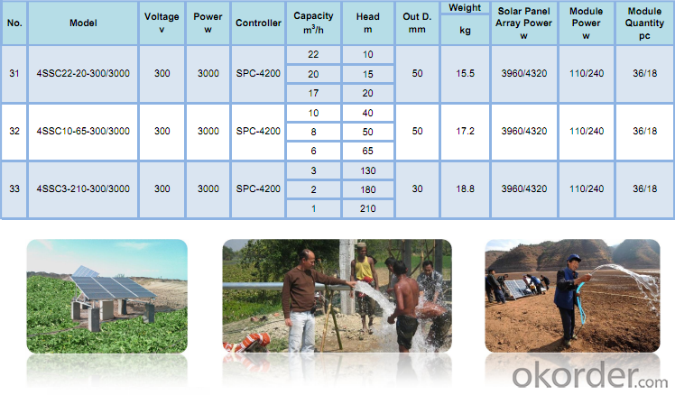 Solar Water Panel Solar Pumps For Irrigation