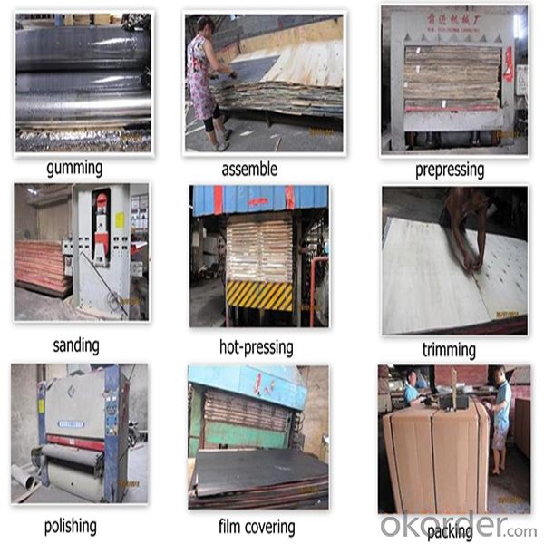 ZNSJ phenolic film faced plywood China exporter
