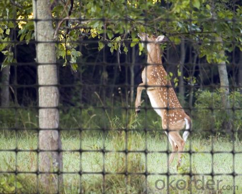 PP Plastic Netting for Animal with Virgin Material