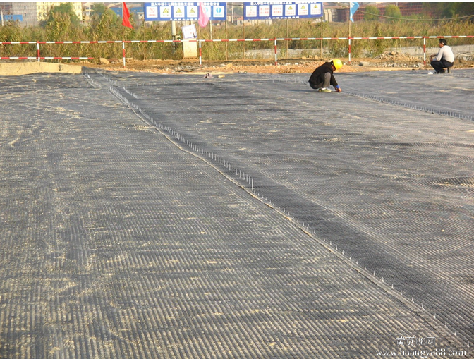 Polyester Geogrid/ Fiberglass Geogrid/ PP Biaxial Geogrid for Dam