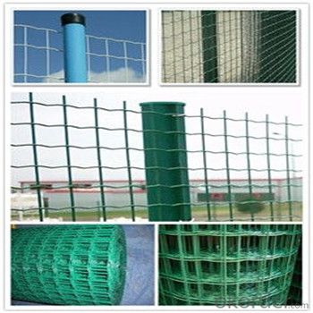 PVC Coated Mesh Panel Garden Hardware Cloth with Multi-Color