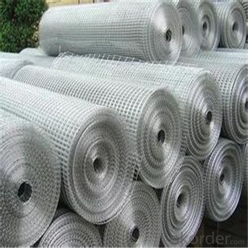 Galvanized Welded Wire Mesh Roll with Different Sizes