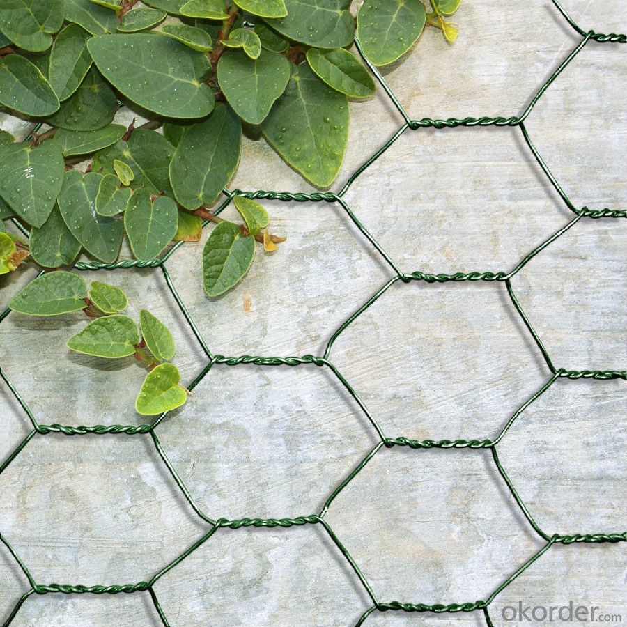 PVC Coated Hexagonal Wire Garden Mesh Fencing with Different Sizes