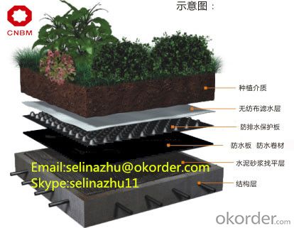 Residential Drainage System Dimple Drainage board