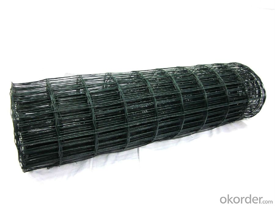 PVC Coated Green Mesh Galvanized Chicken Wire Fencing