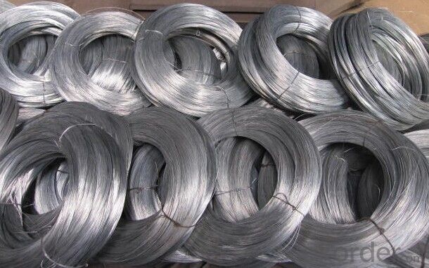 Electro Galvanized Wire in Competitive Price And High Quality