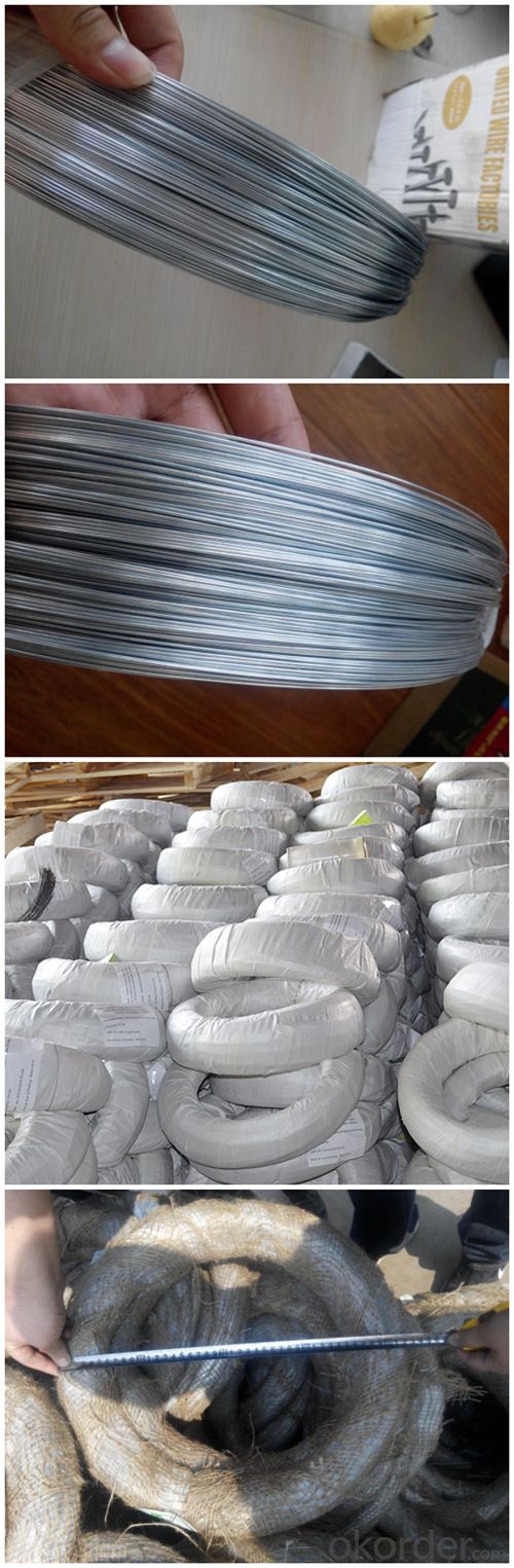 China Flexible Electro Galvanized Iron Wire (GIW)