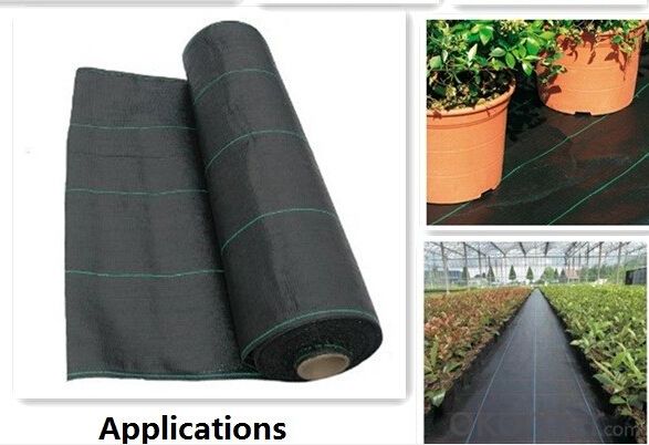 PP Woven Geotextile/ Weed Barrier Fabric for Garden and Agriculture