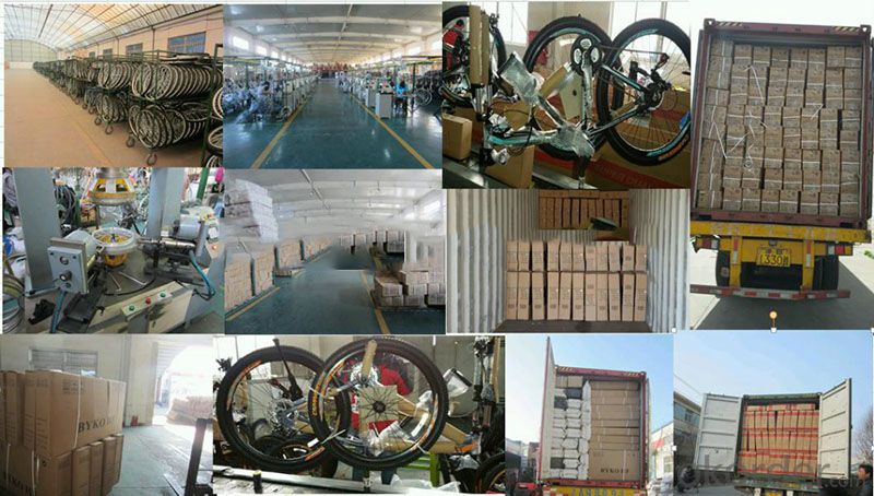 Bicycle for traveling with good quality from CNBM China