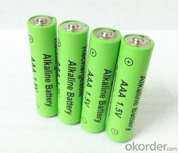 1.5V Rechargeable alkaline battery AA LR6 - Okorder.com