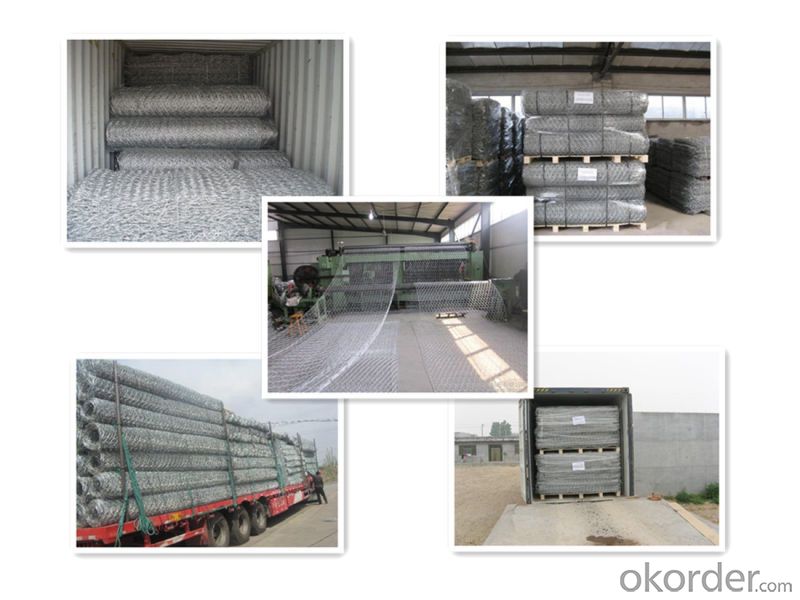 Gabion Cage (SGS CERTIFIED FACTORY)