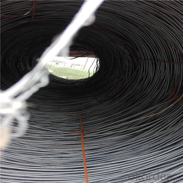 Steel wire rod in coils hot rolled Sea 1008