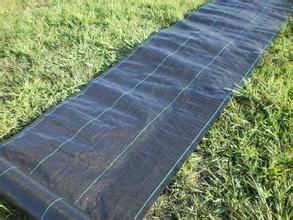 Good Quality Non-woven Geotextile in Real Estates