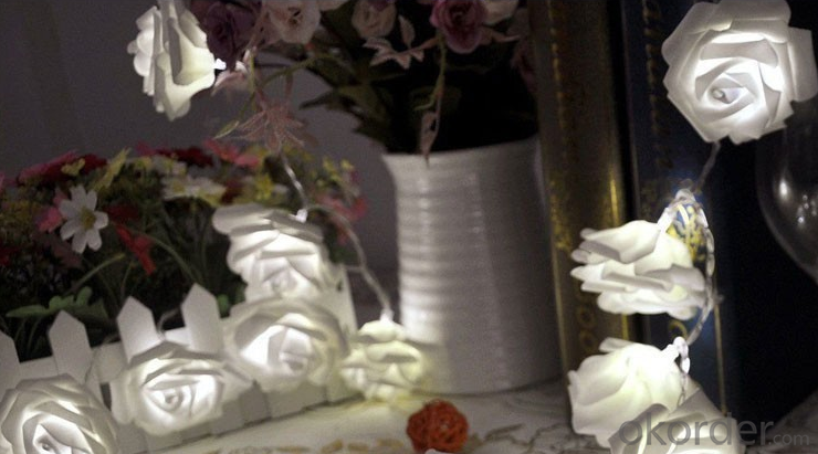 Battery Operate Light, LED Rose String Romatic Led Light String, Wedding Decoration